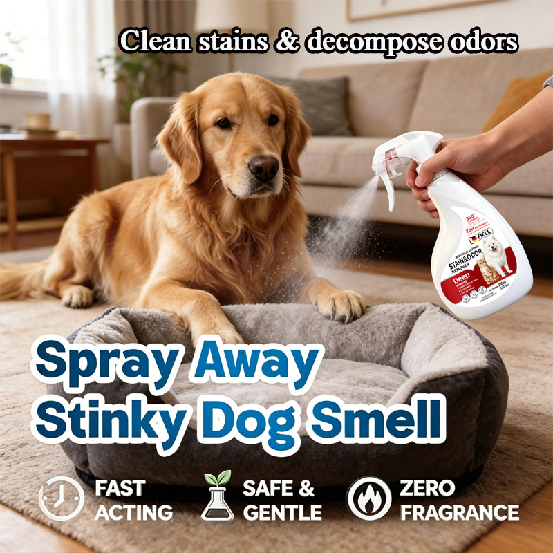 FIELL Pet Stain & Odour Remover Spray 380ml, Bio‑Enzyme Deodoriser, Lick‑Safe for Dogs & Cats, 72H Long‑Lasting Odor Eliminator for Urine, Stool, Home Carpet Sofa