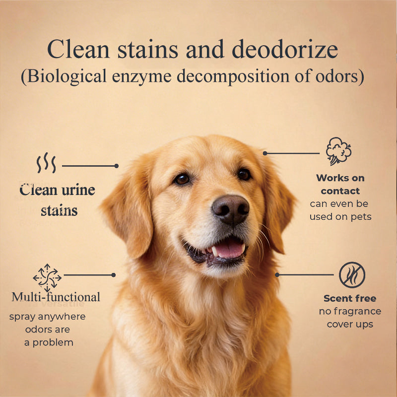 FIELL Pet Stain & Odour Remover Spray 380ml, Bio‑Enzyme Deodoriser, Lick‑Safe for Dogs & Cats, 72H Long‑Lasting Odor Eliminator for Urine, Stool, Home Carpet Sofa