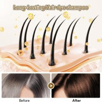 Black Hair Dye Shampoo for Gray Hair
